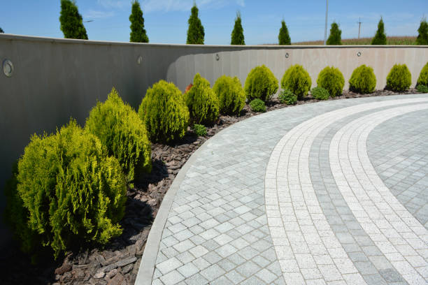 Best Driveway Paving Contractor  in St Louis Park, MN